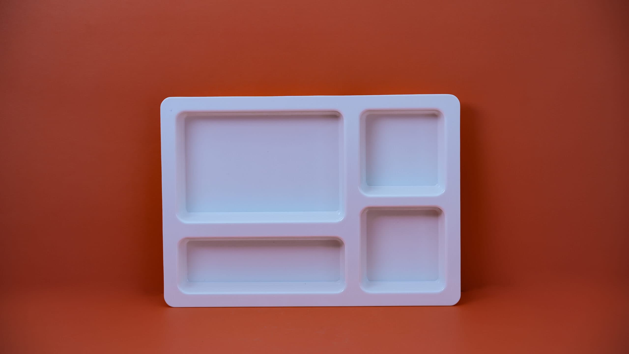 Four Partitions Plate