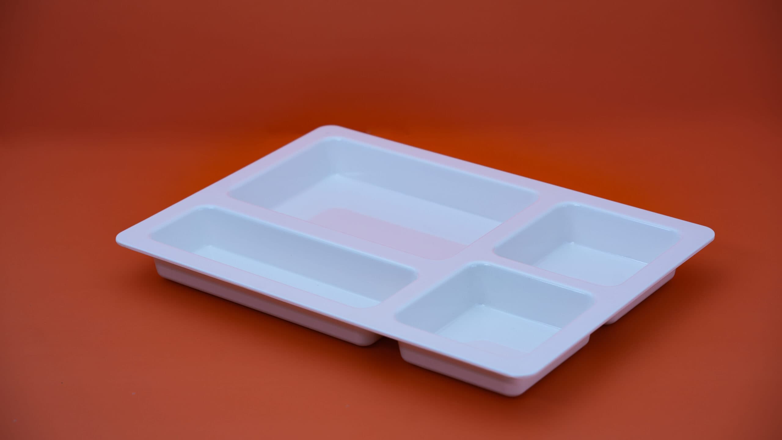 Four Partitions Plate - 2