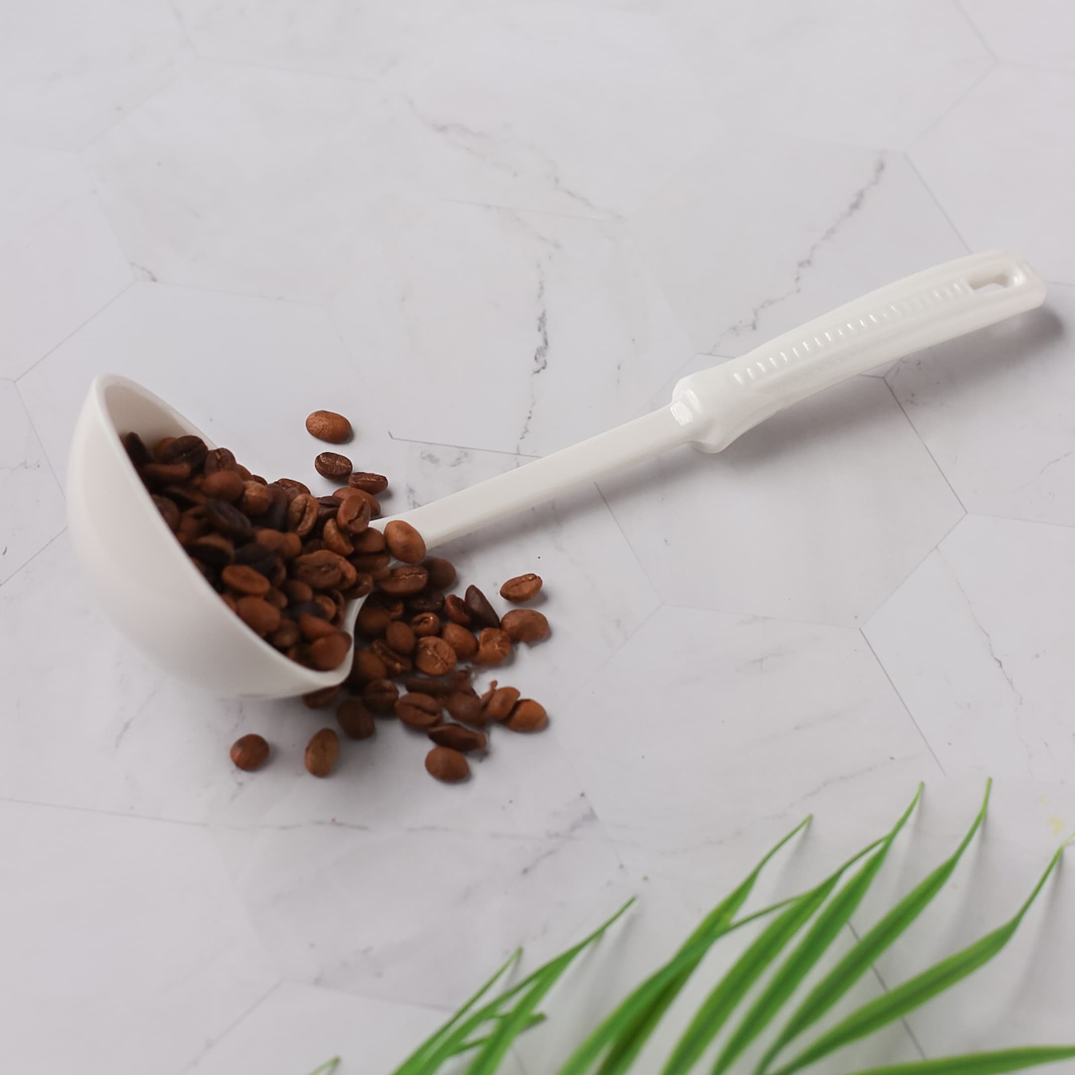 Serves Spoon - 2